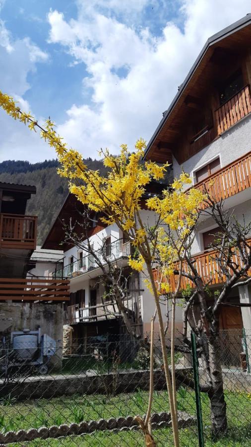 Casa Mascia Vila Cencenighe Agordino Exterior foto